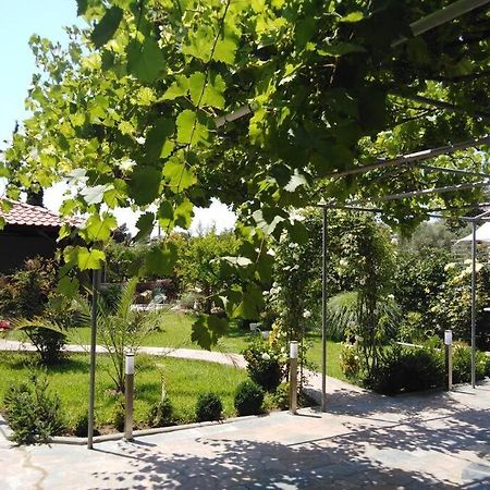 Villa Viktoria Halkidiki Nea Silata Exteriér fotografie