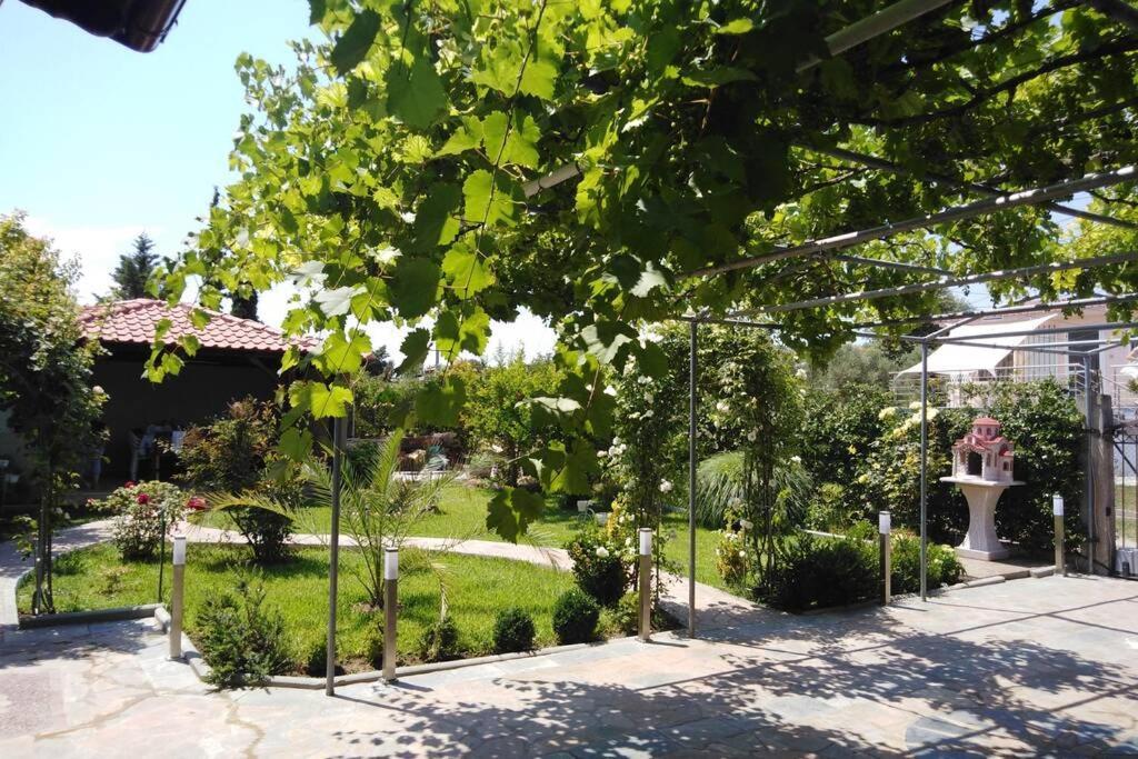 Villa Viktoria Halkidiki Nea Silata Exteriér fotografie