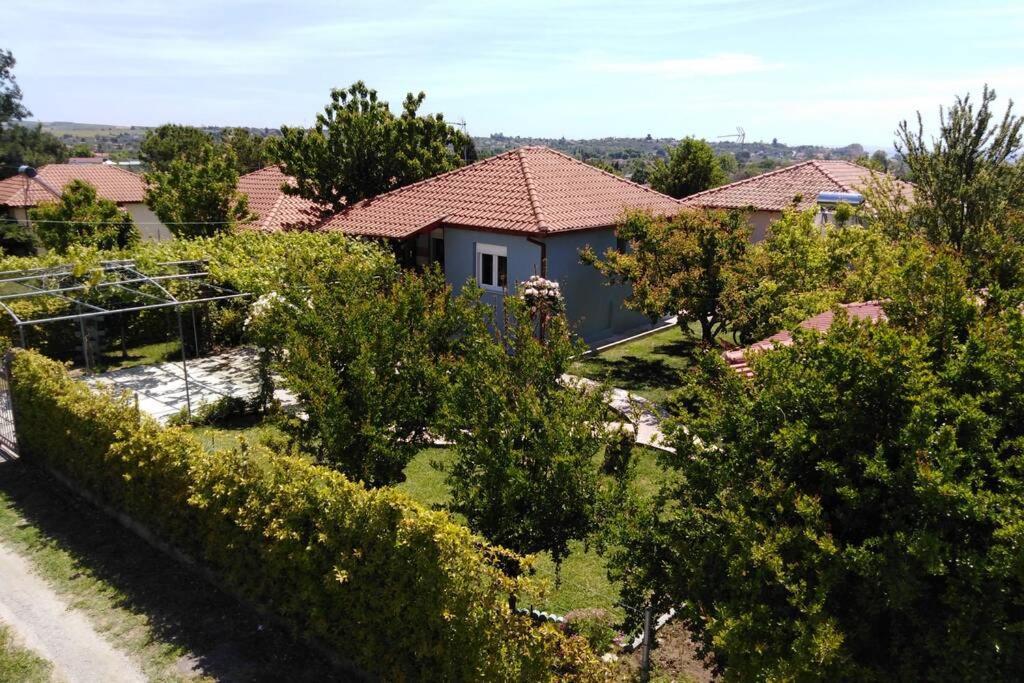 Villa Viktoria Halkidiki Nea Silata Exteriér fotografie