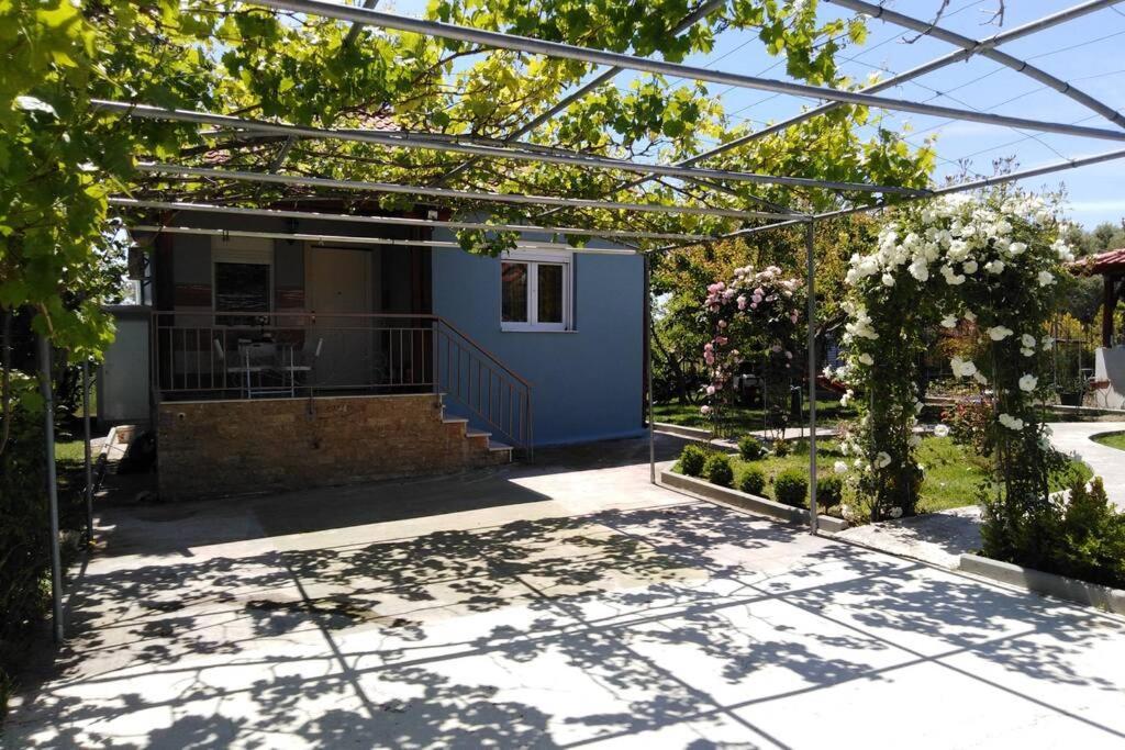 Villa Viktoria Halkidiki Nea Silata Exteriér fotografie