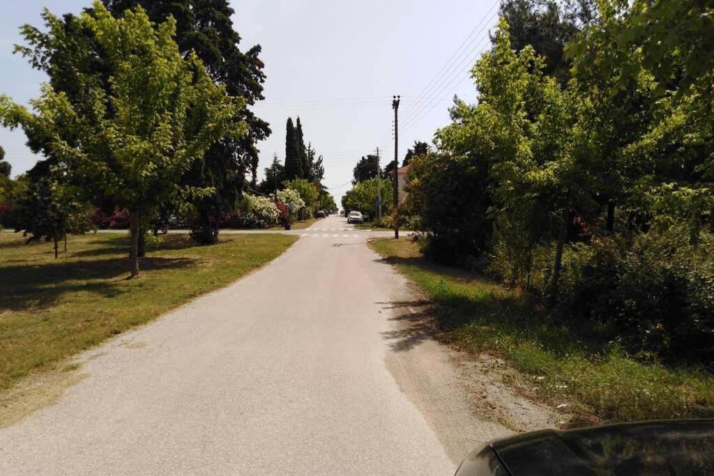 Villa Viktoria Halkidiki Nea Silata Exteriér fotografie