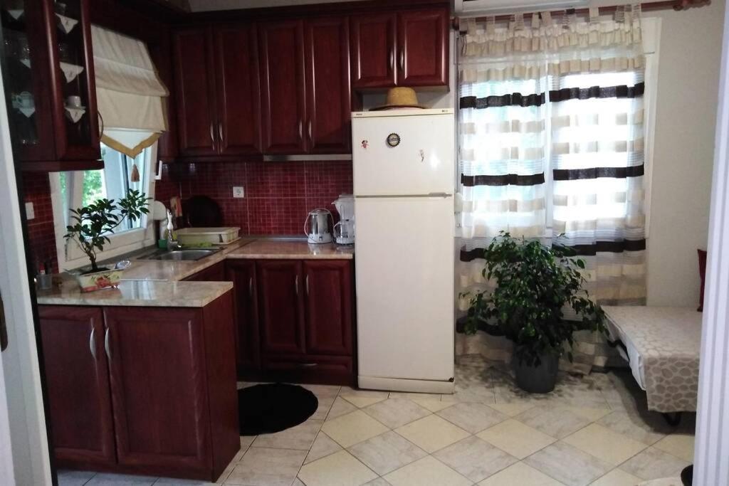 Villa Viktoria Halkidiki Nea Silata Exteriér fotografie