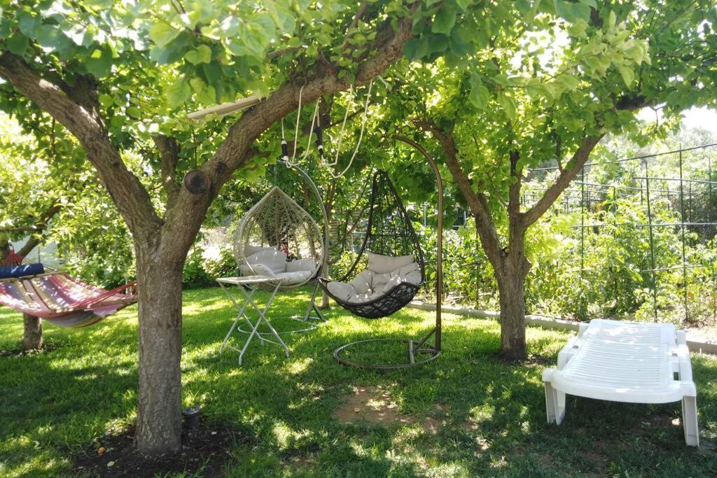 Villa Viktoria Halkidiki Nea Silata Exteriér fotografie