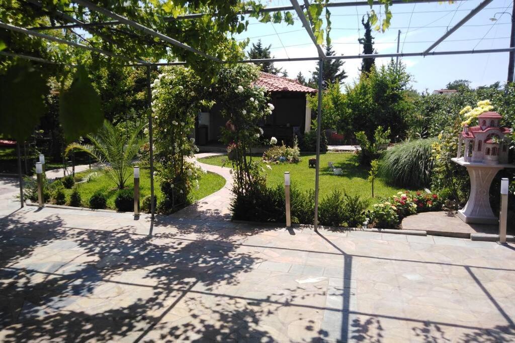 Villa Viktoria Halkidiki Nea Silata Exteriér fotografie