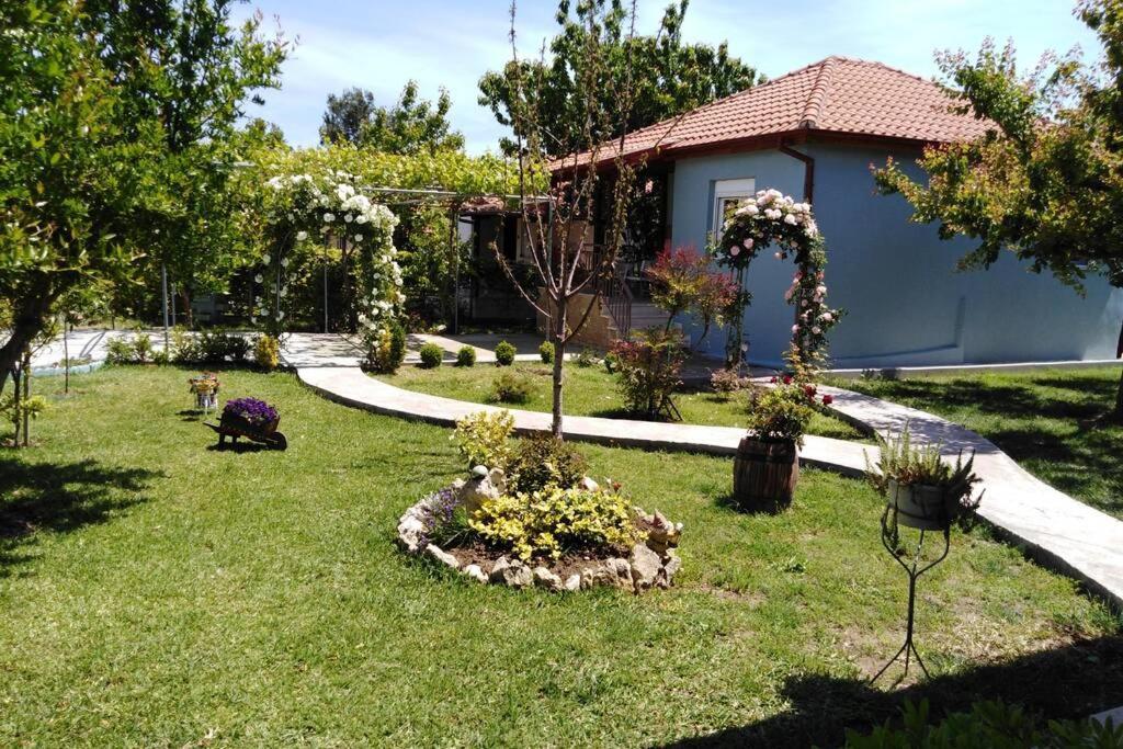 Villa Viktoria Halkidiki Nea Silata Exteriér fotografie
