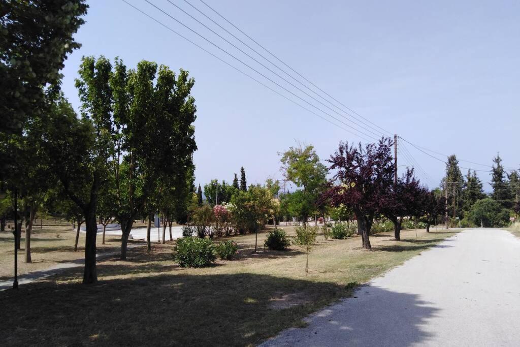 Villa Viktoria Halkidiki Nea Silata Exteriér fotografie