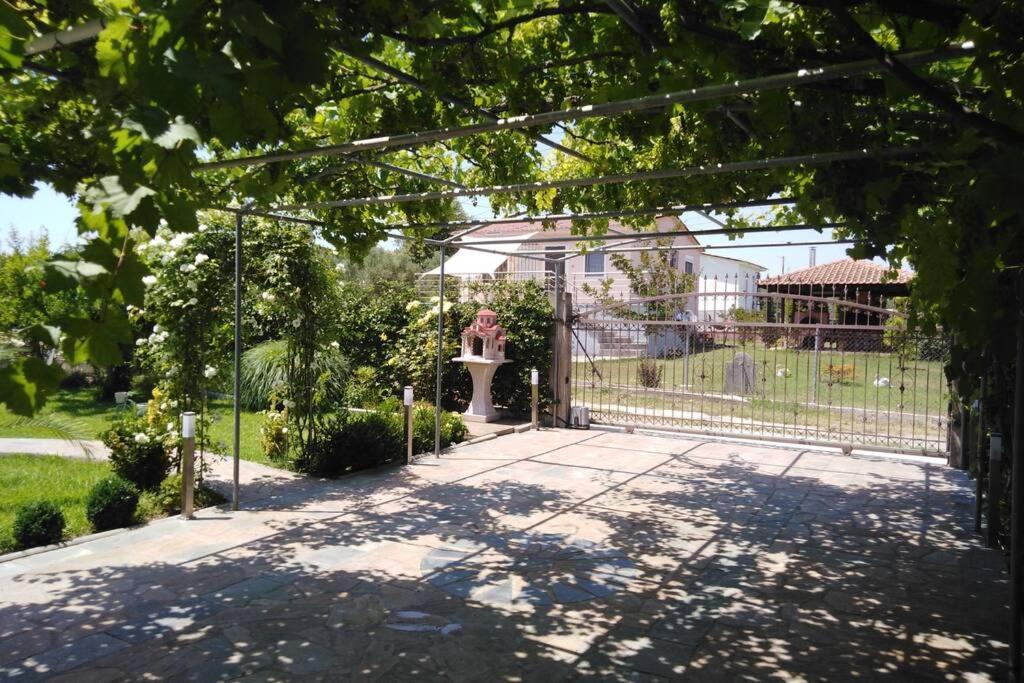 Villa Viktoria Halkidiki Nea Silata Exteriér fotografie